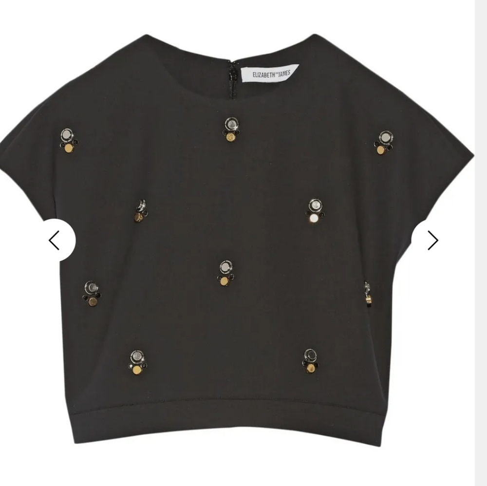 *SOLD* Elizabeth and James Colton Embellished Crop Top - Picture 4 of 10